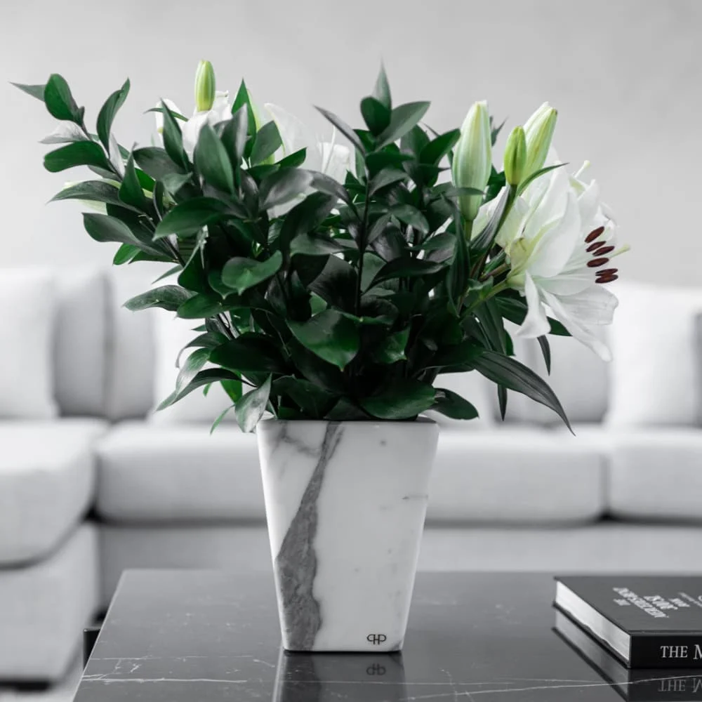 Vaso Clean Carrara