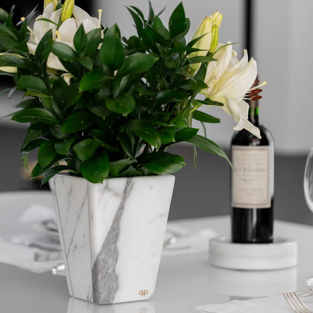 Vaso Clean Carrara - Imagem 3
