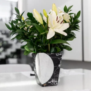 Vaso Moon