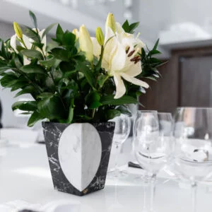 Vaso Moon