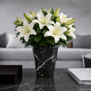 Vaso Clean Nero Marquina